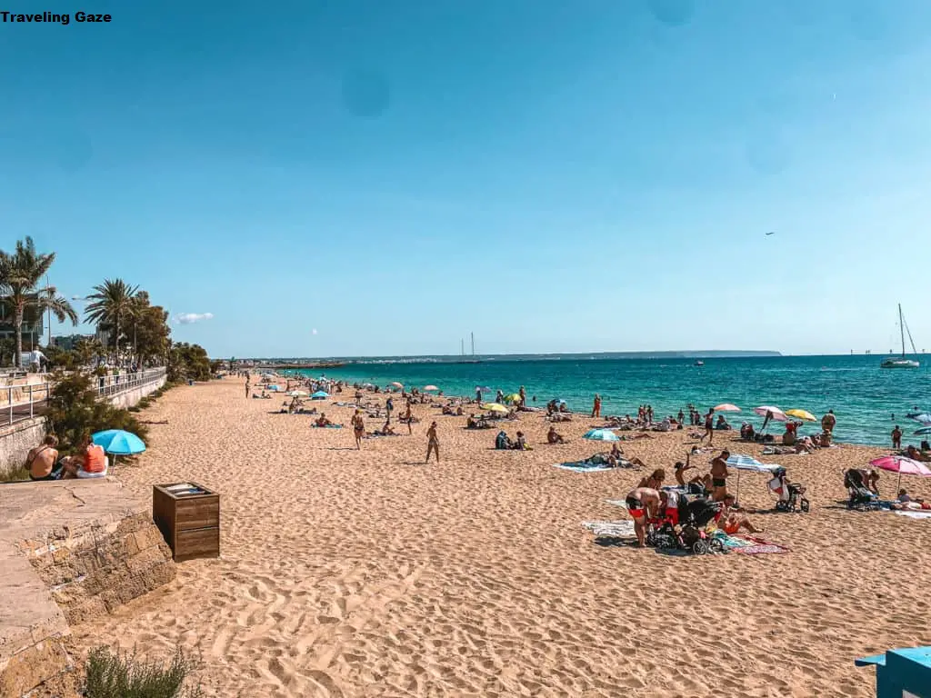 Is Mallorca worth visiting? 15 Excellent Reasons to Visit